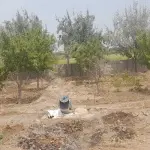 1000029053-1