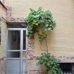 a2967ad5-d0d6-45f5-8788-0bb4a00a17fc